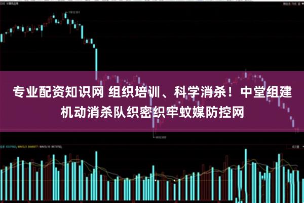 专业配资知识网 组织培训、科学消杀！中堂组建机动消杀队织密织牢蚊媒防控网