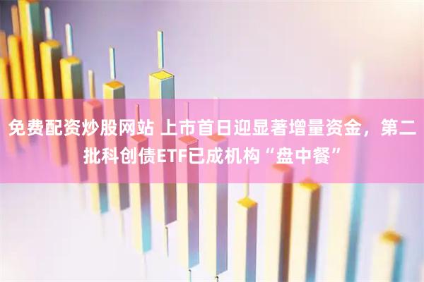 免费配资炒股网站 上市首日迎显著增量资金，第二批科创债ETF已成机构“盘中餐”