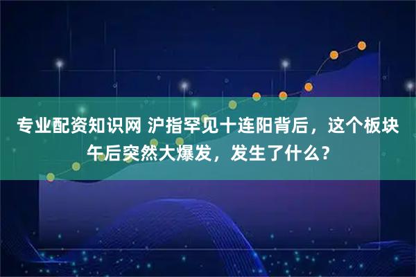 专业配资知识网 沪指罕见十连阳背后,这个板块午后突然大爆发,发生了什么?